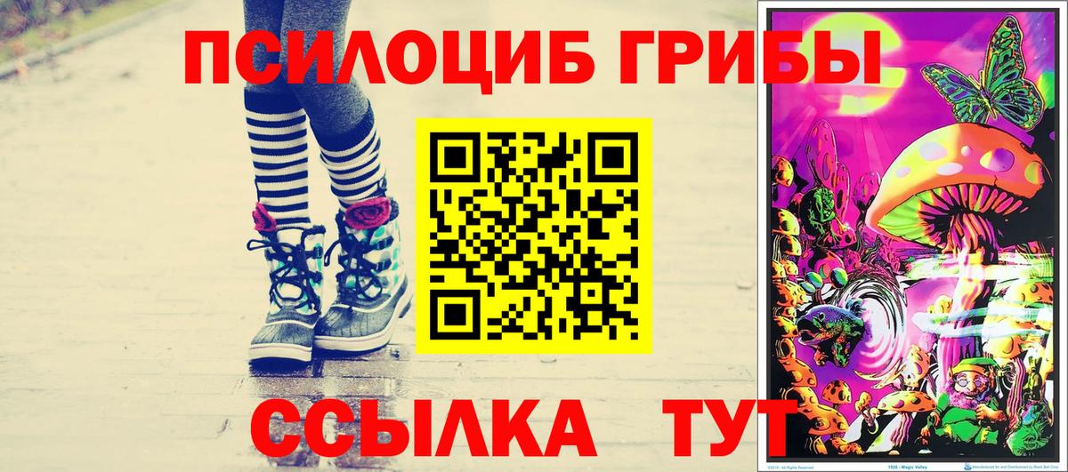 Галлюциногенные грибы мухоморы Астрахань