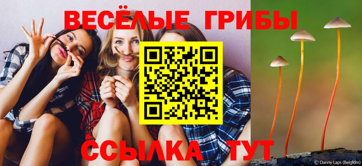 Астрахань  Псилоцибиновые грибы ЛСД  Вход с VPN 